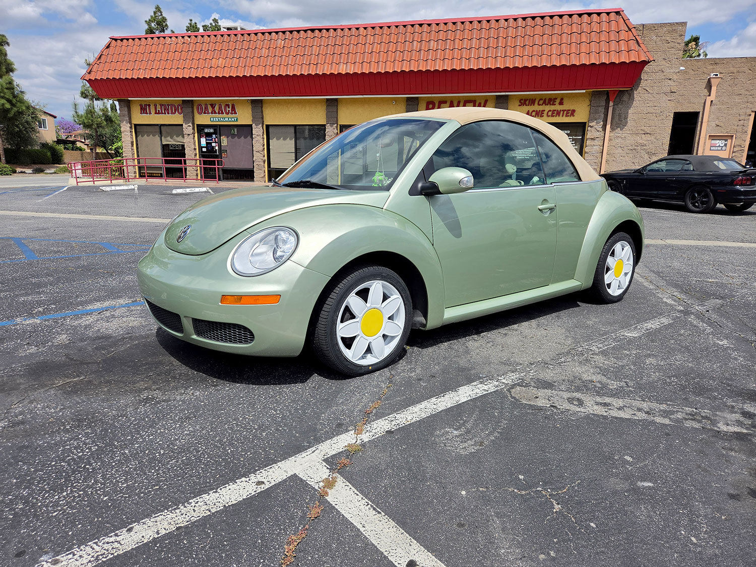 VW Beetle with Flower Wheels